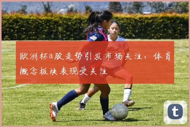 欧洲杯a股走势引发市场关注，体育概念板块表现受关注
