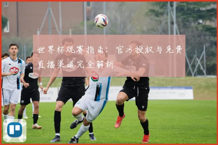 世界杯观赛指南：官方授权与免费直播渠道完全解析