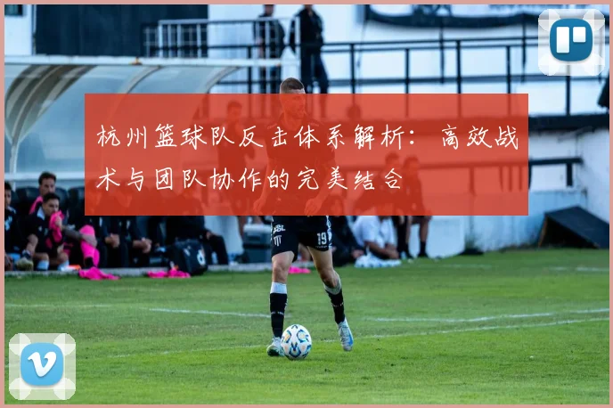 杭州篮球队反击体系解析：高效战术与团队协作的完美结合
