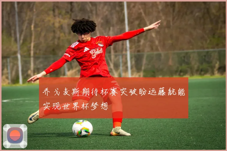 乔戈麦斯期待杯赛突破盼远藤航能实现世界杯梦想