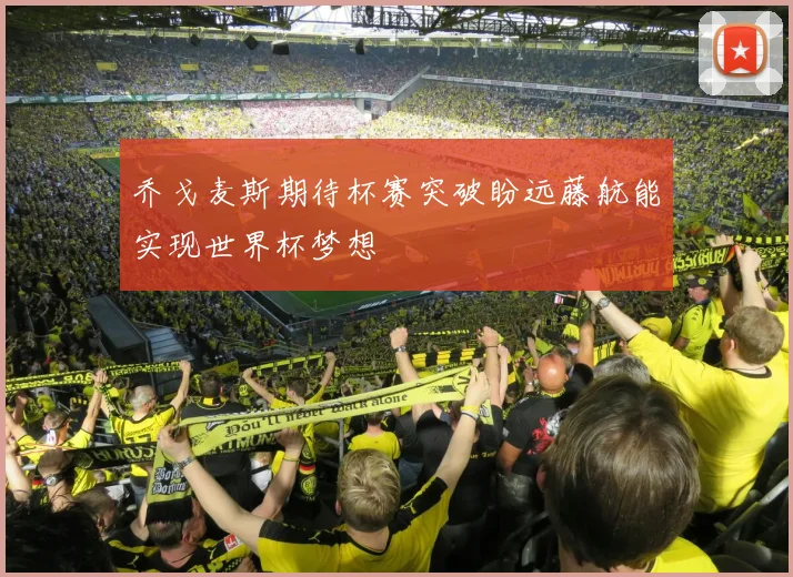 乔戈麦斯期待杯赛突破盼远藤航能实现世界杯梦想