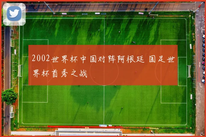 2002世界杯中国对阵阿根廷 国足世界杯首秀之战