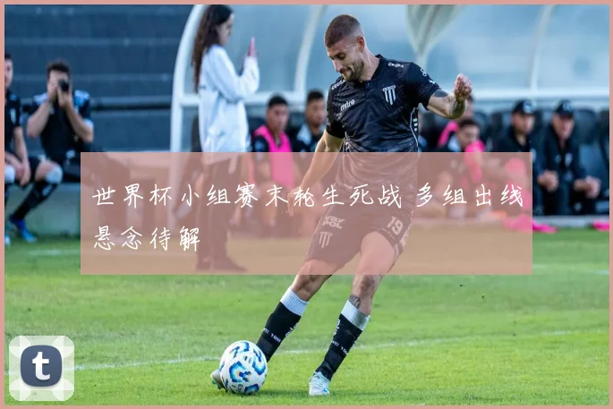 世界杯小组赛末轮生死战 多组出线悬念待解