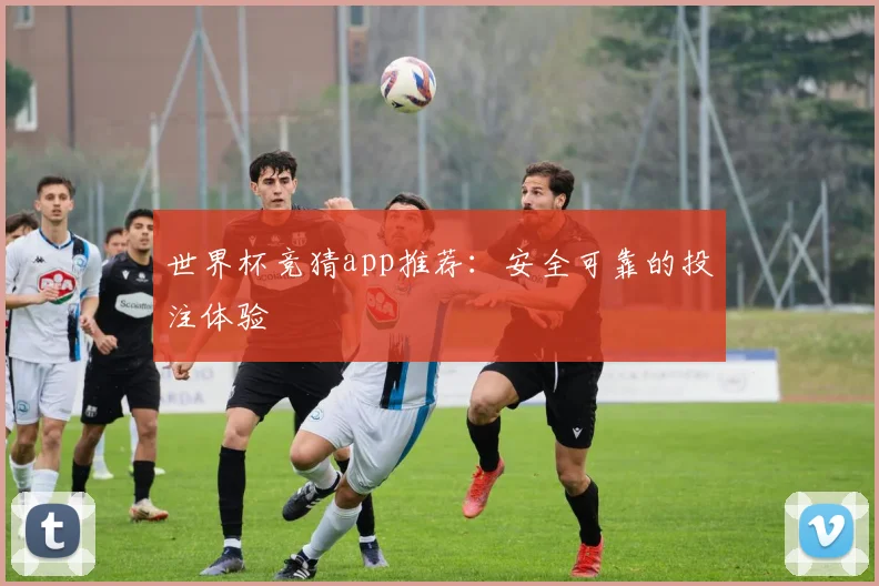 世界杯竞猜app推荐：安全可靠的投注体验