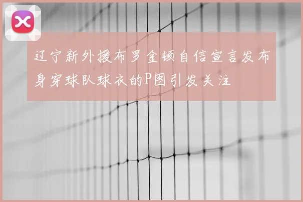 辽宁新外援布罗金顿自信宣言发布身穿球队球衣的P图引发关注