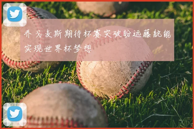 乔戈麦斯期待杯赛突破盼远藤航能实现世界杯梦想