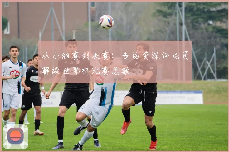 从小组赛到决赛：专访资深评论员解读世界杯比赛总数