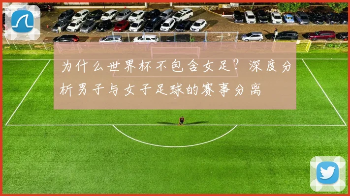 为什么世界杯不包含女足？深度分析男子与女子足球的赛事分离