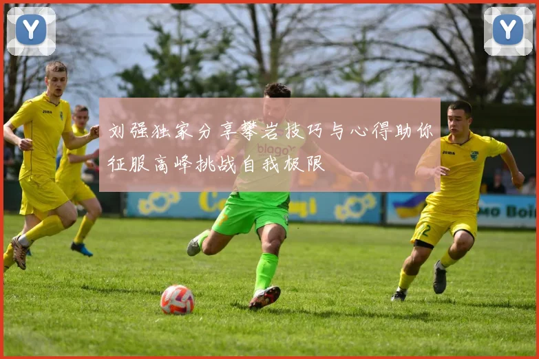 刘强独家分享攀岩技巧与心得助你征服高峰挑战自我极限