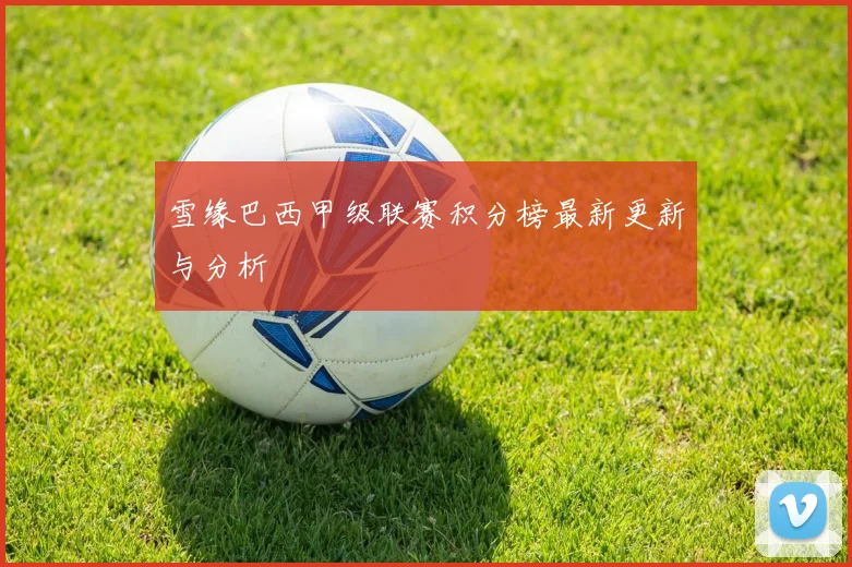 雪缘巴西甲级联赛积分榜最新更新与分析